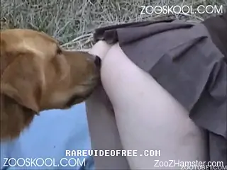 Skirt-wearing teen blonde fucked hard by a dog