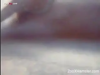 Blond-haired babe fucks herself in front of her doggo