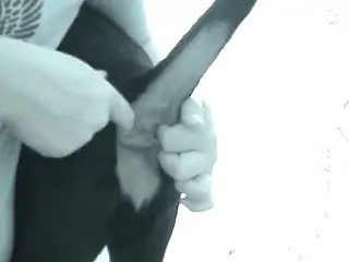 Man play dog pussy