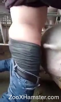 Huge Dick Animal Porn - Dude with a big dick fucking a sexy farm animal