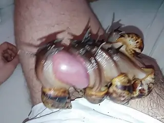 One of the hottest bestiality videos with snails