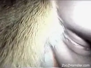 Horny chick enjoying nighttime bestiality with a dog