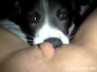 Cute-looking pupper eating her succulent pussy in POV