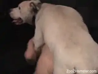 Big booty patriotic zoophile gets fucked on all fours