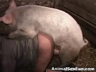 Pig fucks woman in her tiny holes and cums in her