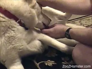 Naked man loves to play with his dog in kinky sex scenes