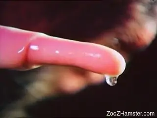 Furry animals on tape when fucking