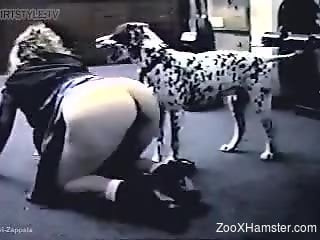 Amateur mature is ready for a crazy fuck with her dog