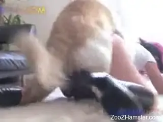 Bitch on fire goes really steamy with her dog