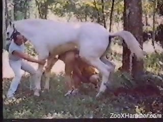 Wife gets ass fucked by the horse in brutal xxx scenes