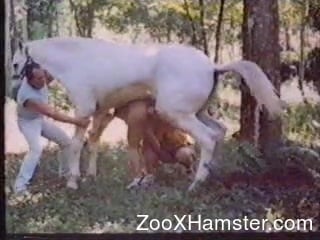 Woman Gets Fucked From Active Horse - Wife gets ass fucked by the horse in brutal xxx scenes