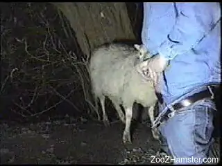 Denim-clad farmer fucking a sheep's whore mouth
