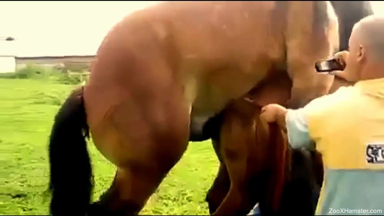 Man fucks female horse