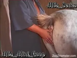 Curly-haired BBW gets destroyed by a sexy pony