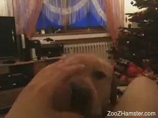 POV blowjob with a hung guy and his mom's dog