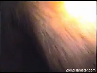 Dude fucks a mare's wet pussy from behind in a hot scene