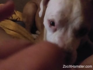 POV pussy eating from a very kinky pussy hound
