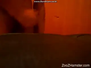 Dude fucking a very small animal with a medium-sized cock