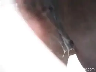 Hot dude with a throbbing boner fucking a sexy mare