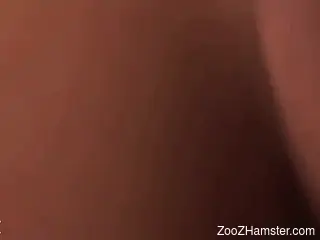 Short-haired dog cock whore getting fucked hard