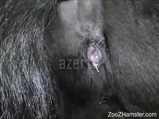 Dude damaging a horse's wet pussy in a hot porno video