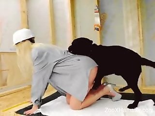 Busty construction worker gets ravaged by a dog