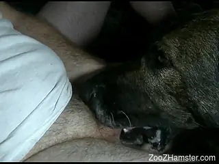Dude with a throbbing cock gets blown by a dog