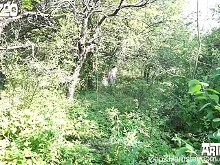 Doggy style dog fuck for a frizzy-haired blonde