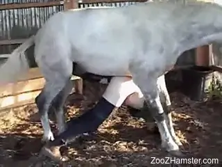 Horny pony gaping a dude's asshole in a hot anal scene