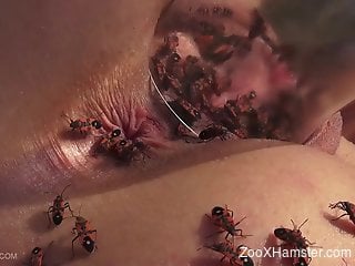 Fucked-up video with bugs crawling inside a MILF's pussy