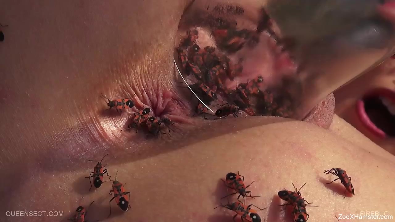 Insect Insert In Pussy - Fucked-up video with bugs crawling inside a MILF's pussy