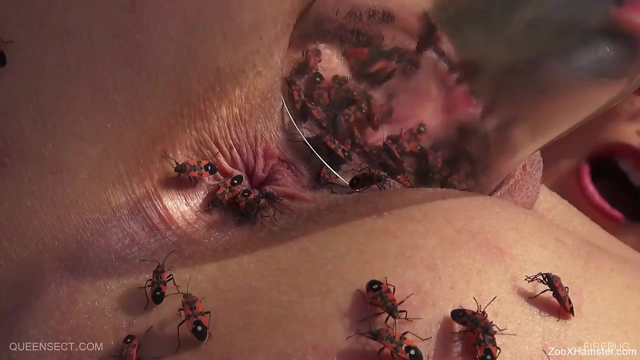 Insect inside pussy