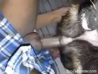 Dude fucking a dog's juicy pussy from behind in a hot vid