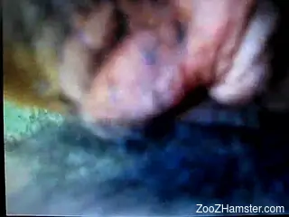 Dude fucking an animal's asshole from behind