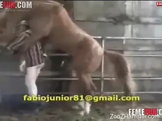 Sexy stallion fucks a farmer's asshole from behind