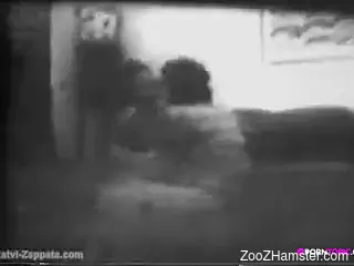 Retro porn video featuring a sexy housewife and her dog