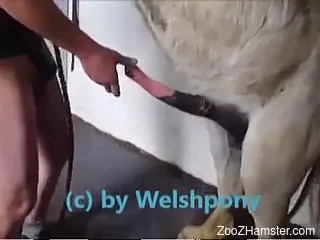 Sexy dude gets his asshole fucked by a hung stallion