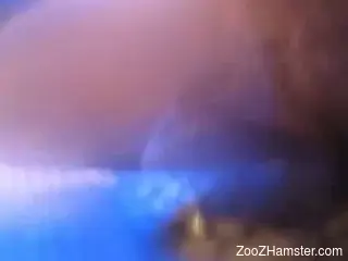 Rough sex featuring a chick and her horny animal