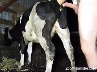 Eager dude fucking a very sexy cow from behind