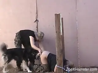 Busty blonde in a mask fucked by all the dogs