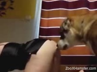 Naughty mommy taking her animal's hot cock in her puss