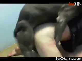 Compilation of the hottest gay anal bestiality