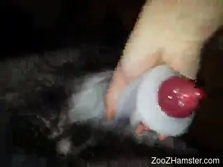 Dude gives a nice handjob to his sexy red-dicked dog