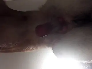 POV cumshot video with a horny big-dicked animal