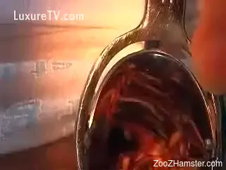 Chubby ass woman inserts worms into her love holes
