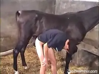 Gay dude greedily sucking on a stallion's hard cock