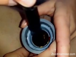 Busty brunette masturbates with worms into her vagina