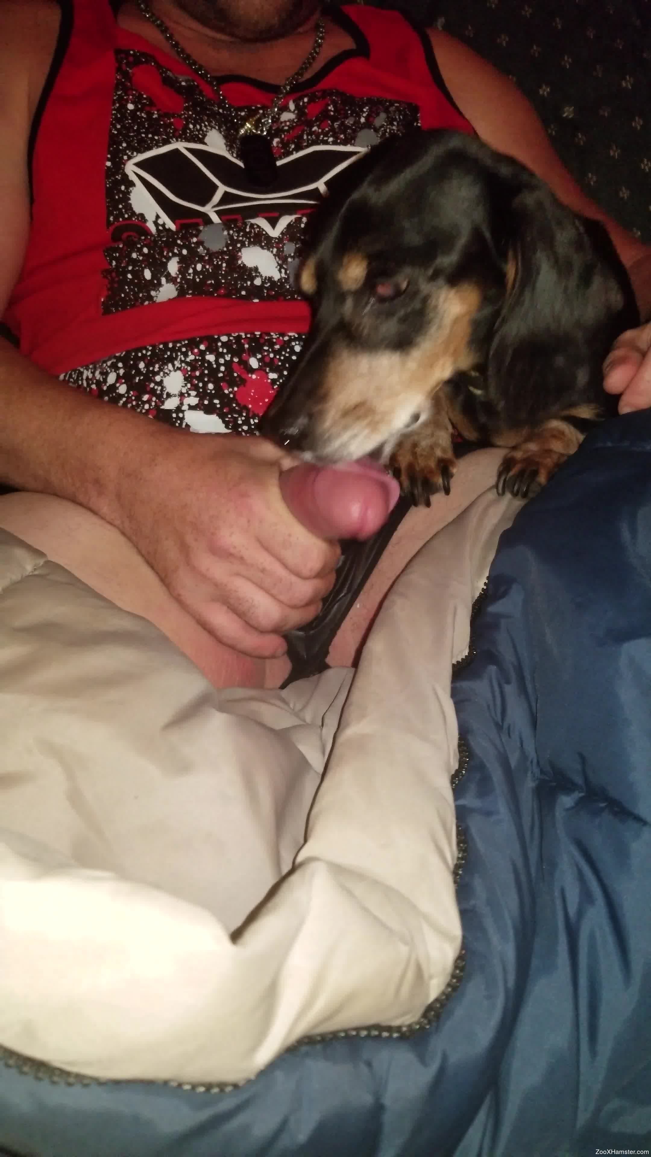 Dog Gives Blowjob - Crossdressing dude enjoying a bestiality blowjob
