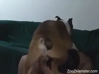Dress-wearing seductress enjoying doggy style sex