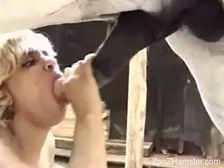 Blonde with beautiful boobs sucks a horse's cock